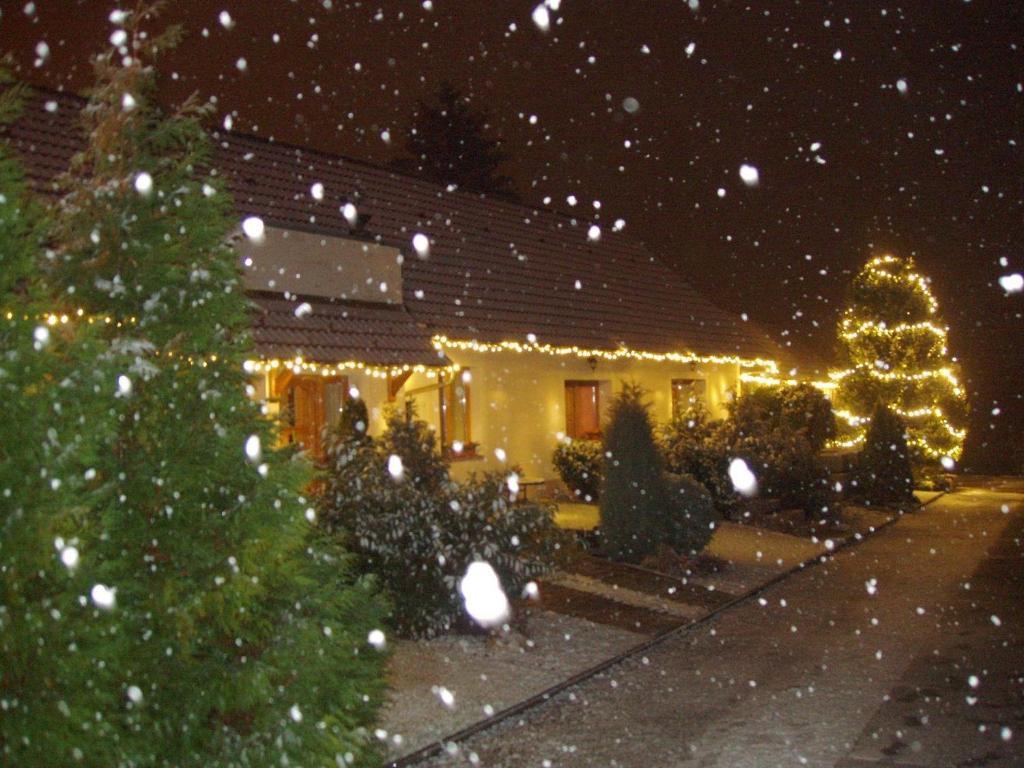 Franciska Portaja Apartment Igal Exterior photo