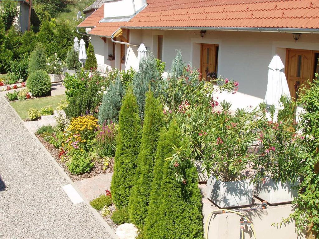 Franciska Portaja Apartment Igal Exterior photo